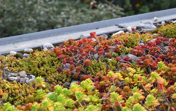 the cost of Filchampstead green roof installation