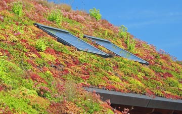 Filchampstead living roof systems