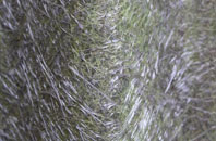 Filchampstead fibreglass roof work